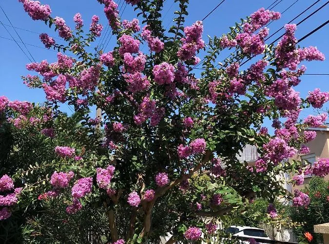 Вилла Maison Confortable Et Calme/5 & 6 Sdb Тулуза