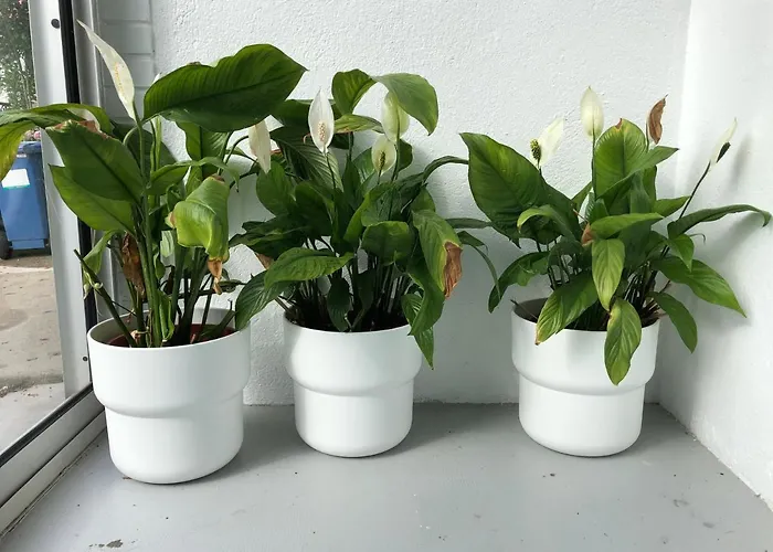 빌라 Maison Confortable Et Calme/5 & 6 Sdb 툴루즈