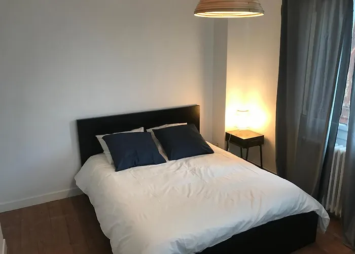 Maison Confortable Et Calme/5 & 6 Sdb * تولوز