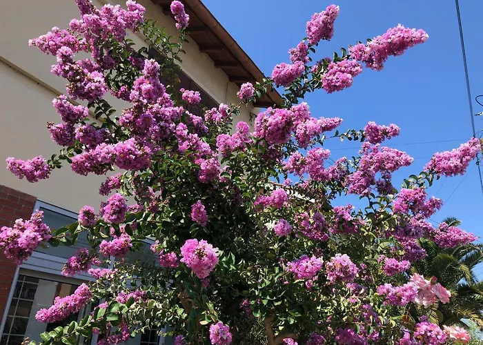 Maison Confortable Et Calme/5 & 6 Sdb Villa *