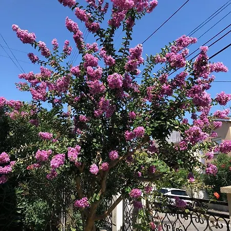 Βίλα Maison Confortable Et Calme/5 & 6 Sdb Τουλούζη